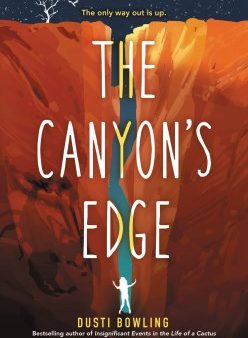 The Canyon s Edge Online Hot Sale