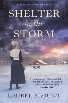 Shelter in the Storm Hot on Sale